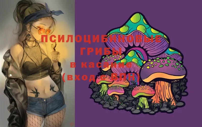 Псилоцибиновые грибы MAGIC MUSHROOMS Касли